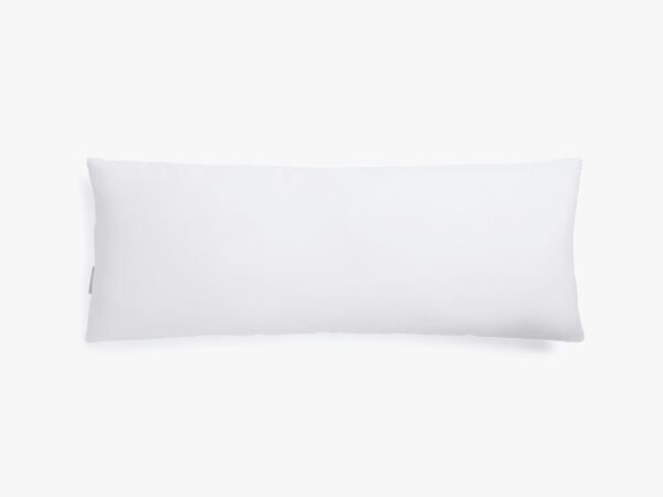 Down Decorative Lumbar Pillow Insert - Image 2